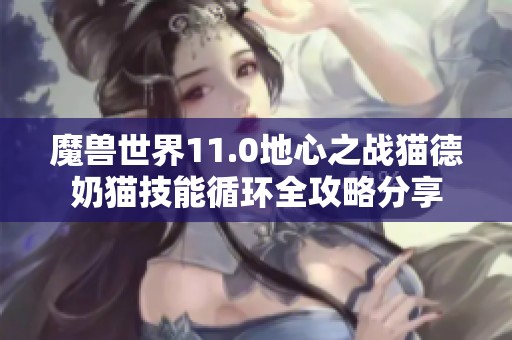 魔兽世界11.0地心之战猫德奶猫技能循环全攻略分享