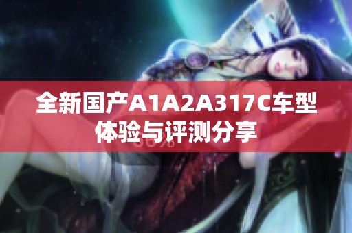 全新国产A1A2A317C车型体验与评测分享