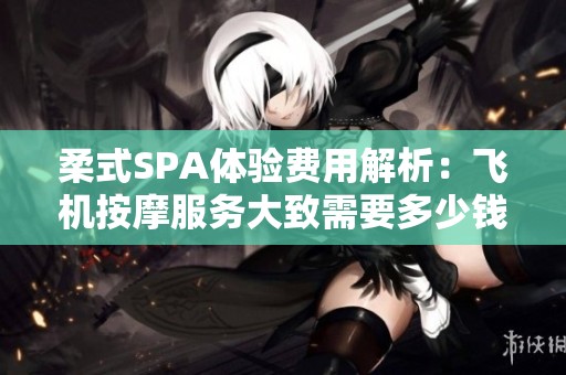 柔式SPA体验费用解析：飞机按摩服务大致需要多少钱
