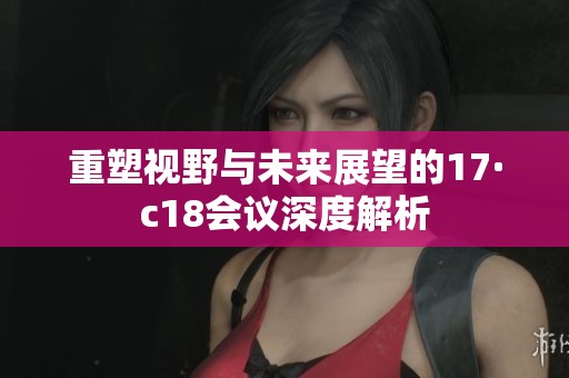 重塑视野与未来展望的17·c18会议深度解析