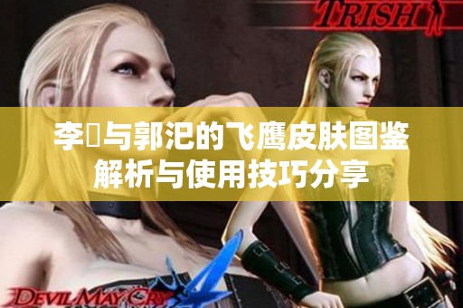 李傕与郭汜的飞鹰皮肤图鉴解析与使用技巧分享