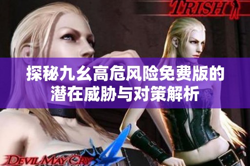 探秘九幺高危风险免费版的潜在威胁与对策解析