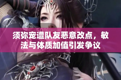 须弥宠遭队友恶意改点，敏法与体质加值引发争议