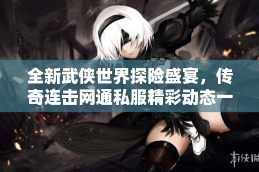 全新武侠世界探险盛宴，传奇连击网通私服精彩动态一览
