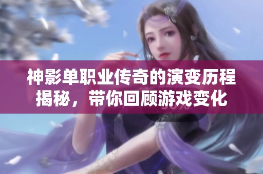 神影单职业传奇的演变历程揭秘，带你回顾游戏变化