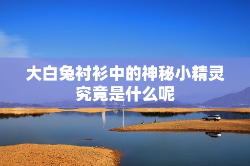 大白兔衬衫中的神秘小精灵究竟是什么呢