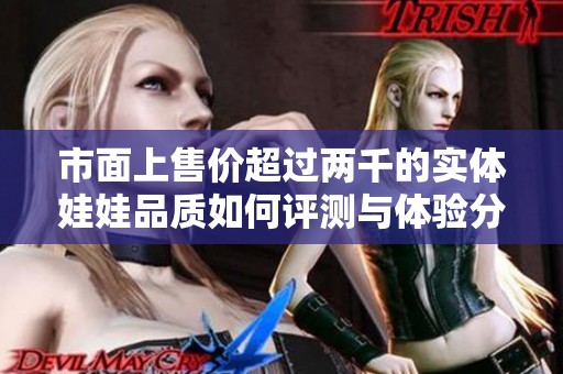 市面上售价超过两千的实体娃娃品质如何评测与体验分享
