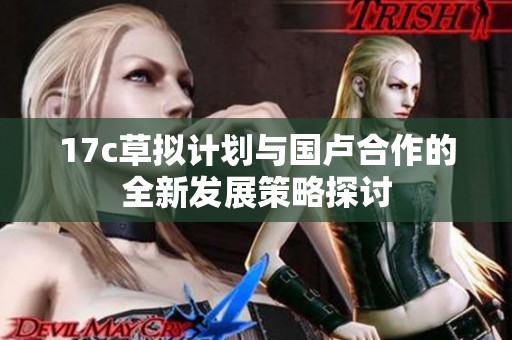 17c草拟计划与国卢合作的全新发展策略探讨