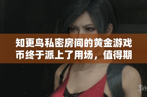知更鸟私密房间的黄金游戏币终于派上了用场，值得期待的冒险之旅！