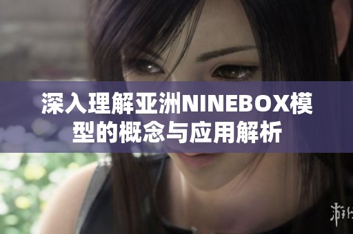 深入理解亚洲NINEBOX模型的概念与应用解析