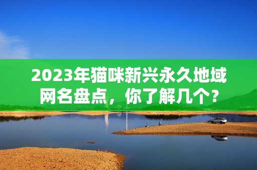 2023年猫咪新兴永久地域网名盘点，你了解几个？