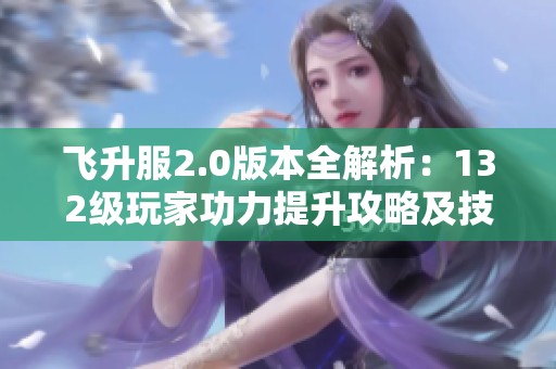 飞升服2.0版本全解析：132级玩家功力提升攻略及技巧分享