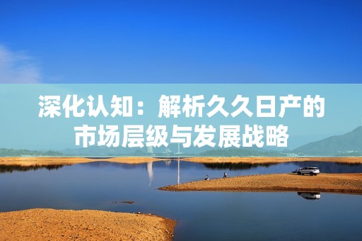 深化认知：解析久久日产的市场层级与发展战略