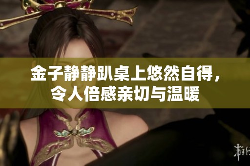 金子静静趴桌上悠然自得，令人倍感亲切与温暖