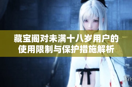 藏宝阁对未满十八岁用户的使用限制与保护措施解析