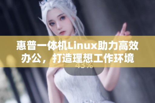 惠普一体机Linux助力高效办公，打造理想工作环境