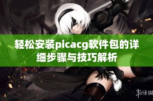轻松安装picacg软件包的详细步骤与技巧解析