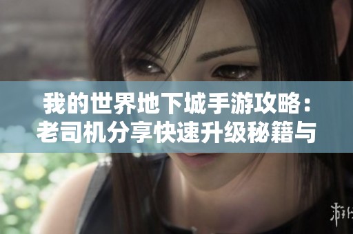 我的世界地下城手游攻略：老司机分享快速升级秘籍与技巧