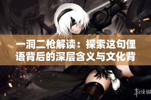 一洞二枪解读：探索这句俚语背后的深层含义与文化背景
