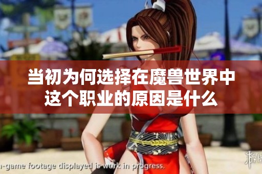 当初为何选择在魔兽世界中这个职业的原因是什么