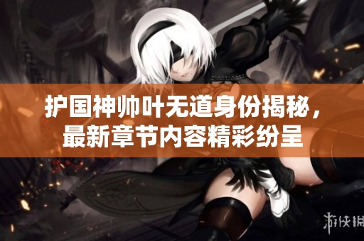 护国神帅叶无道身份揭秘，最新章节内容精彩纷呈
