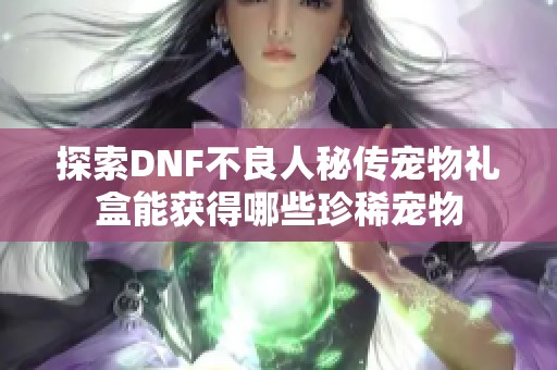探索DNF不良人秘传宠物礼盒能获得哪些珍稀宠物