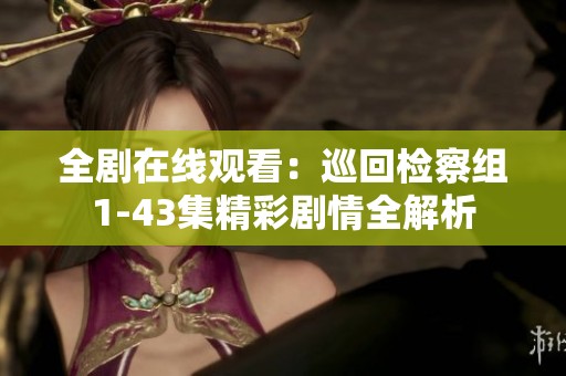 全剧在线观看：巡回检察组1-43集精彩剧情全解析
