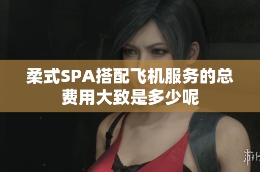 柔式SPA搭配飞机服务的总费用大致是多少呢