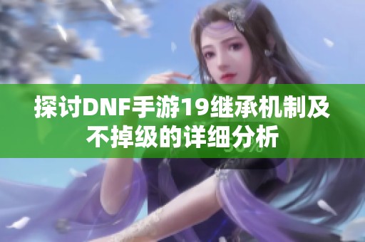 探讨DNF手游19继承机制及不掉级的详细分析