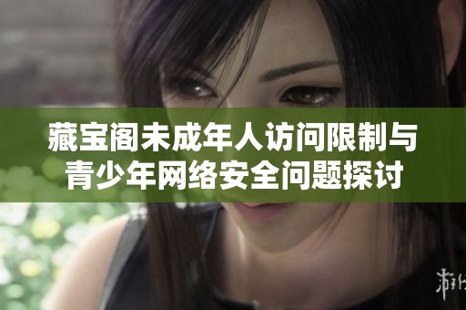 藏宝阁未成年人访问限制与青少年网络安全问题探讨