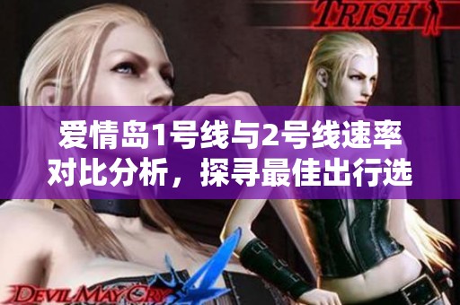 爱情岛1号线与2号线速率对比分析，探寻最佳出行选择