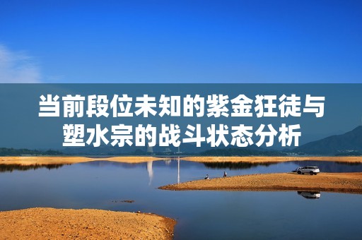 当前段位未知的紫金狂徒与塑水宗的战斗状态分析