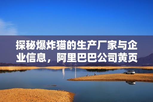 探秘爆炸猫的生产厂家与企业信息，阿里巴巴公司黄页精选揭晓