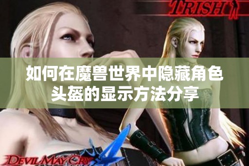 如何在魔兽世界中隐藏角色头盔的显示方法分享