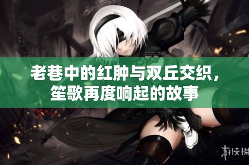 老巷中的红肿与双丘交织，笙歌再度响起的故事