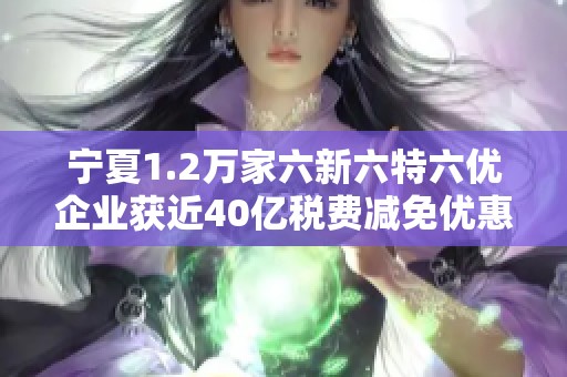 宁夏1.2万家六新六特六优企业获近40亿税费减免优惠政策