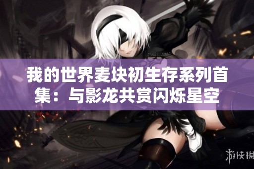 我的世界麦块初生存系列首集：与影龙共赏闪烁星空
