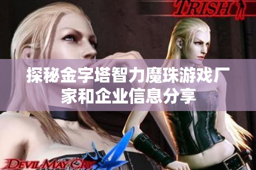 探秘金字塔智力魔珠游戏厂家和企业信息分享