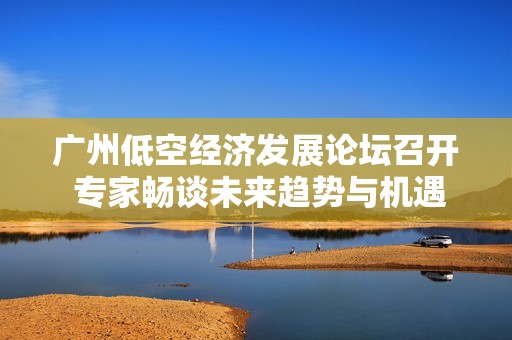 广州低空经济发展论坛召开 专家畅谈未来趋势与机遇
