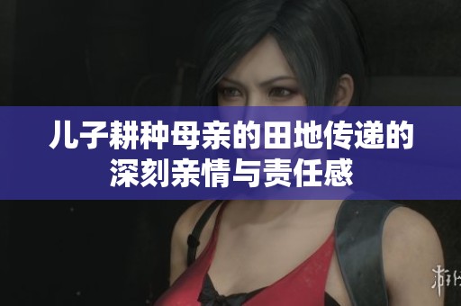 儿子耕种母亲的田地传递的深刻亲情与责任感