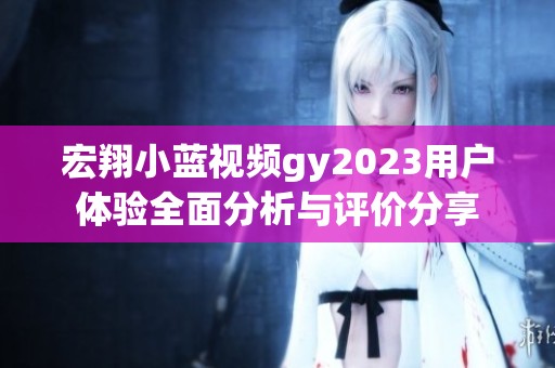 宏翔小蓝视频gy2023用户体验全面分析与评价分享