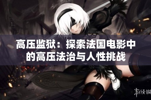 高压监狱：探索法国电影中的高压法治与人性挑战