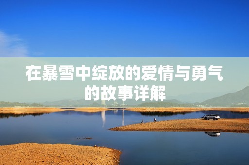 在暴雪中绽放的爱情与勇气的故事详解