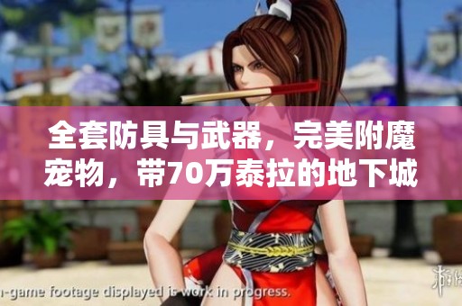 全套防具与武器，完美附魔宠物，带70万泰拉的地下城冒险装备大放送