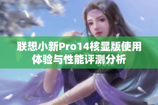 联想小新Pro14核显版使用体验与性能评测分析