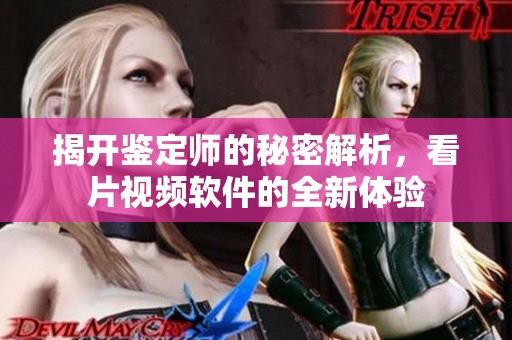 揭开鉴定师的秘密解析，看片视频软件的全新体验