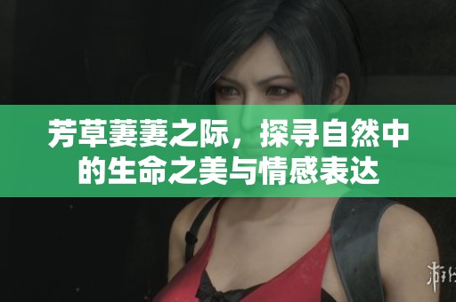芳草萋萋之际，探寻自然中的生命之美与情感表达