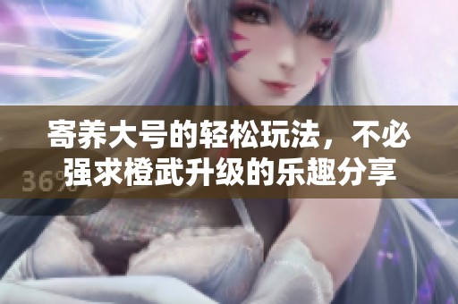 寄养大号的轻松玩法，不必强求橙武升级的乐趣分享