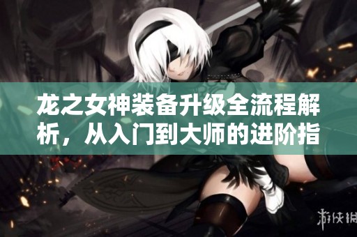 龙之女神装备升级全流程解析，从入门到大师的进阶指南