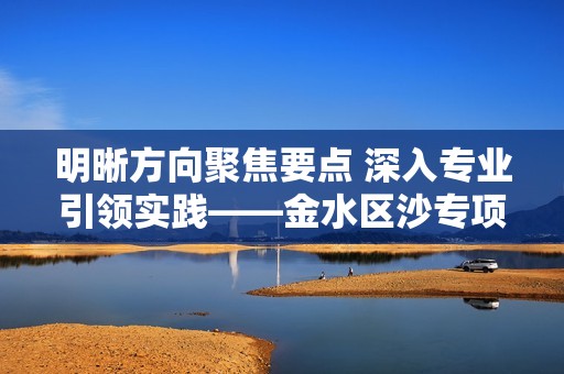 明晰方向聚焦要点 深入专业引领实践——金水区沙专项研究新动向